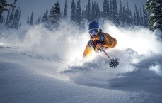 中国体彩网_日本队公布11月大名单，远藤航领衔，北野飒太等三名新星首获征召