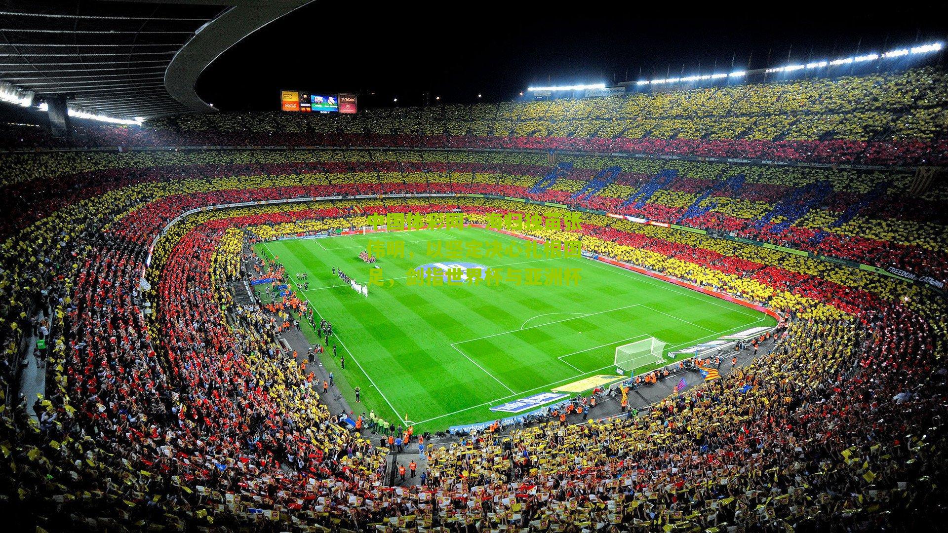 海归独苗张伟明,以坚定决心扎根国足,剑指世界杯与亚洲杯