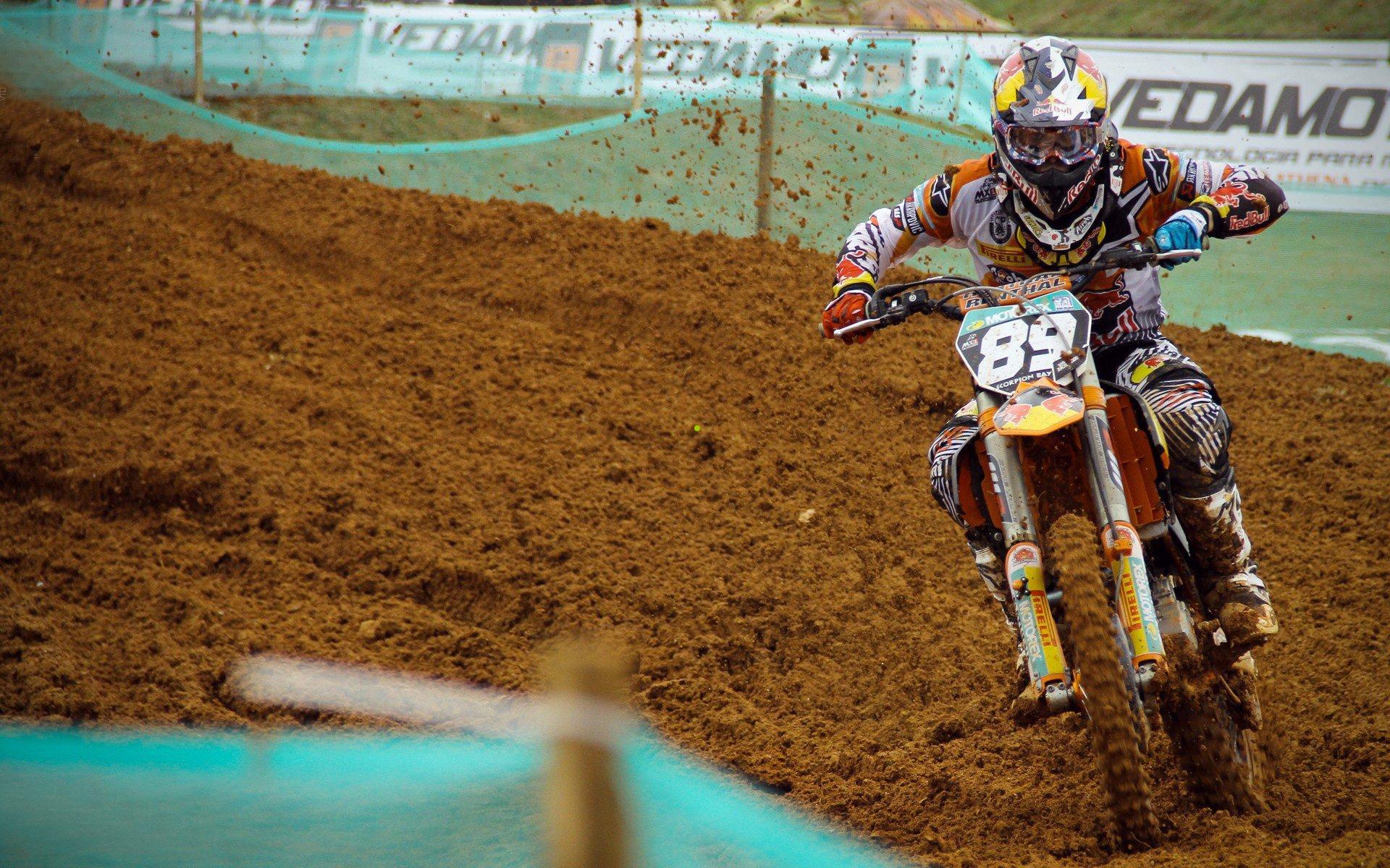 四年观赛路与数字时代的球迷成长记，当算法开始理解我们的热爱